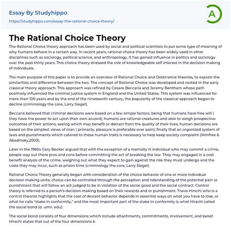 rational choice theory essay