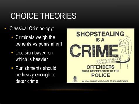 rational choice theory organized crime