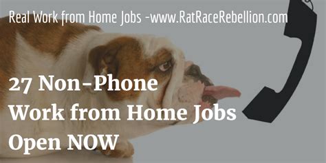 ratracerebellion.com work from home no phone