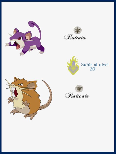 rattata evolution level