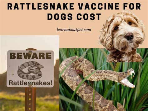 rattlesnake dog vaccine cost
