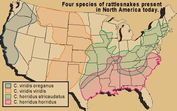 rattlesnake range map north america