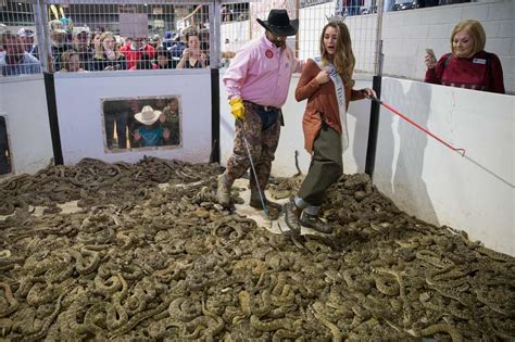 rattlesnake roundup texas 2024