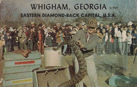 rattlesnake roundup whigham ga 2022