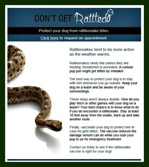 rattlesnake vaccine for dogs side effects