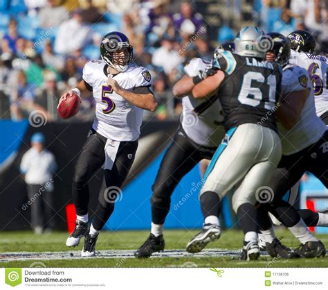 ravens vs panthers 2010