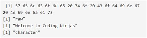 raw data type in r programming