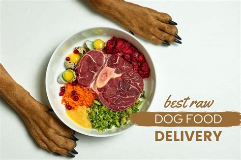 raw dog food delivery subscription