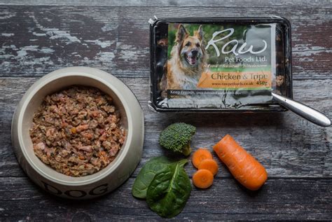 raw dog food diet for senior dogs
