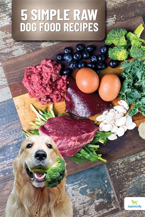 raw dog food recipes for senior dogs