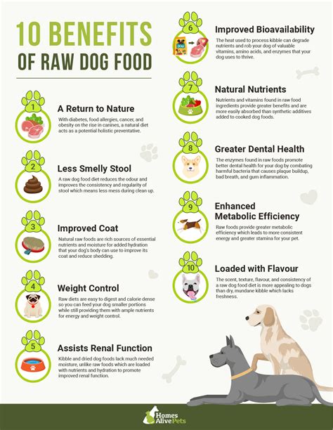 raw dog meaning