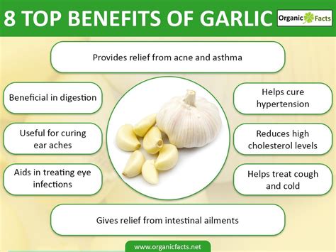 raw garlic benefits and side effects