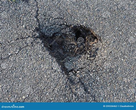 Unveiling the Mysterious Raw Hole: A Curious Exploration