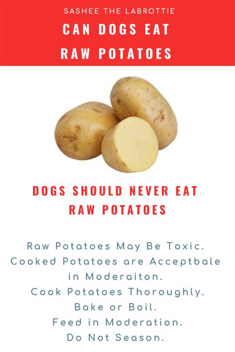 Raw Potatoes For Dogs