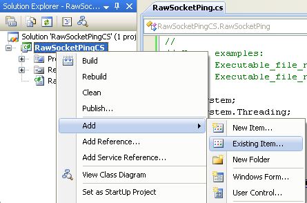 Raw Socket C Example