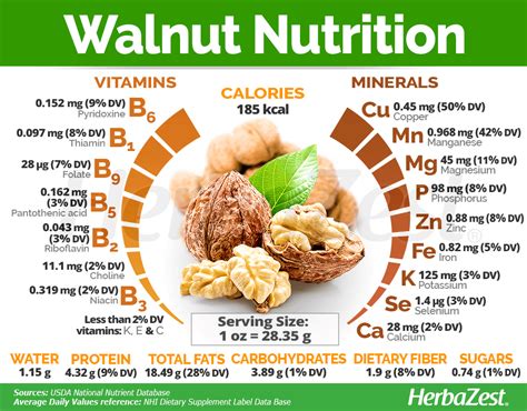 Raw Walnuts Nutrition