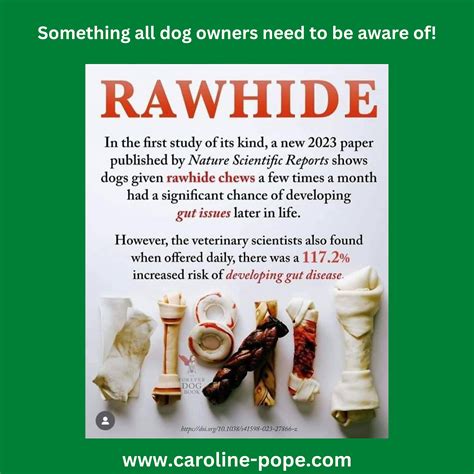 Rawhide Cause Vomiting