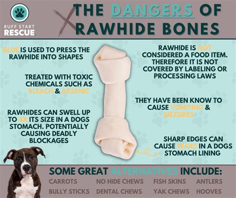 Rawhide Dog Chew Problems