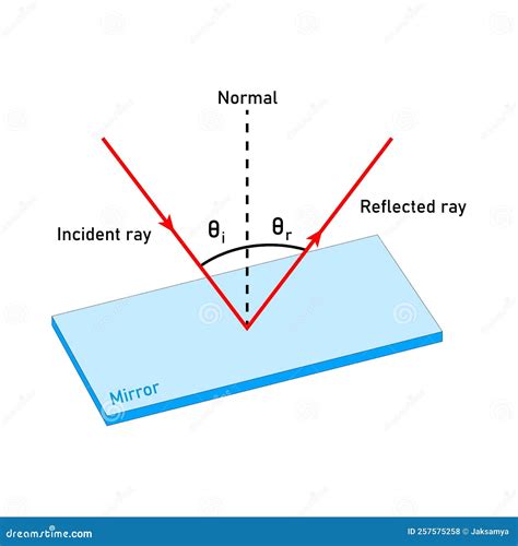 Master Ray Diagram Secrets in Minutes!