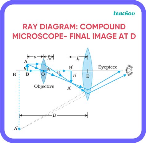Ray Diagram Compound Microscope