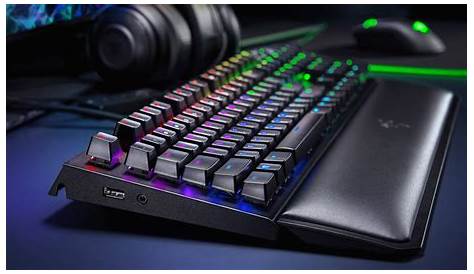 Razer Blackwidow Elite Mechanical Gaming Keyboard Detailed With On
