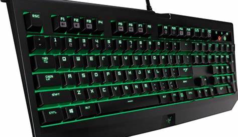 Razer Blackwidow Keyboard Layout BlackWidow X Chroma Gaming Mechanical Green