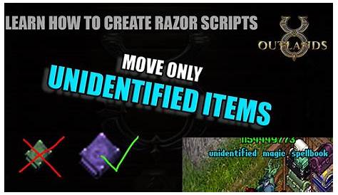 GitHub - TheWarDoctor95/razor-enhanced: Scripts for the Razor Enhanced