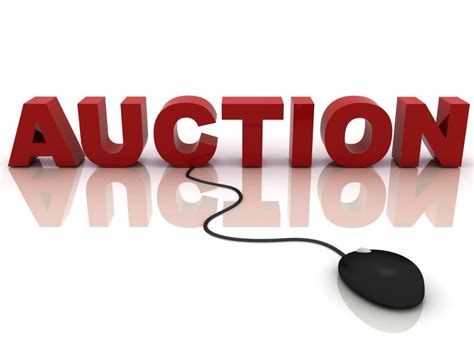 rb auction online bidding