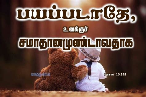 rc bible in tamil