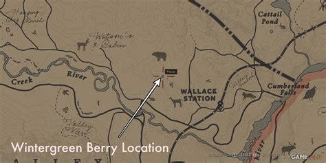 Rdr2 Berries Location Map