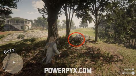 Rdr2 How To Tie Someone To A Tree