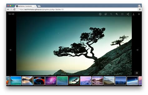 react image gallery next js
