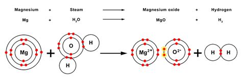 reaction between magnesium and steam