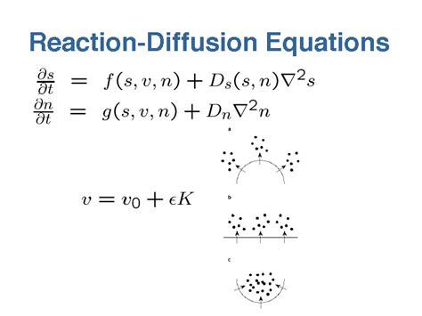 reaction diffusion equation