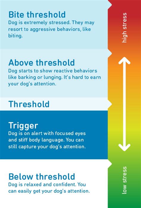 reactivity and aggression