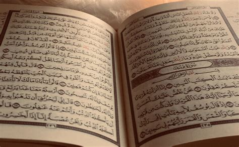 read al quran online arabic