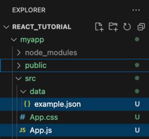 Read Json File Javascript React