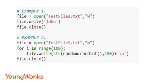 Read Write Mode In Python