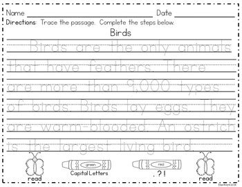 reading comprehension handwriting tracing
