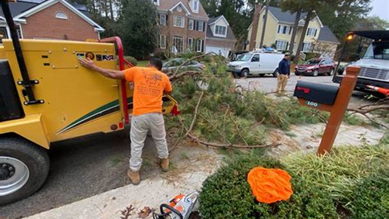 Unveiling the Secrets of Real Tree Service: Discover the Hidden Benefits