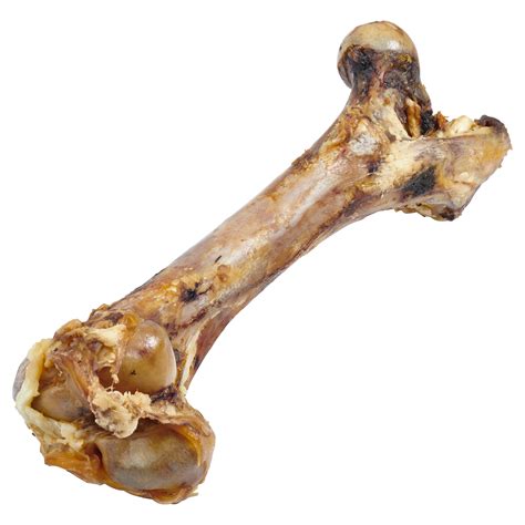 Real Beef Bones For Dogs