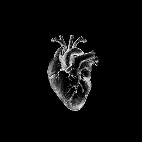 Real Heart Black Background
