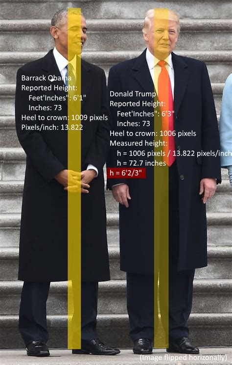 real height of trump