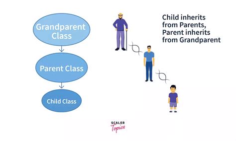 real life example of inheritance in python