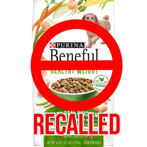 real meat dog food recall