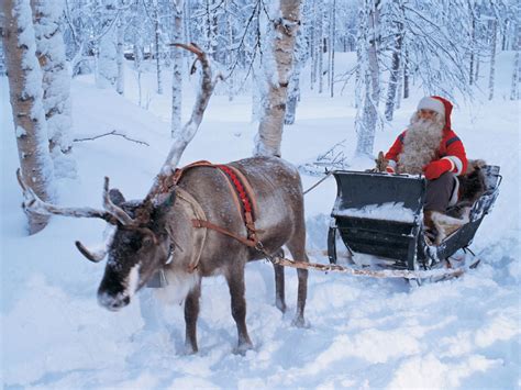 real santa claus and reindeer