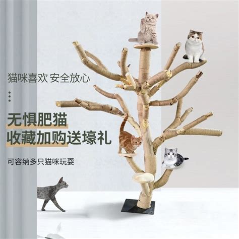 Real Tree Cat Scratcher