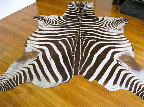 Real Zebra Hide Rug