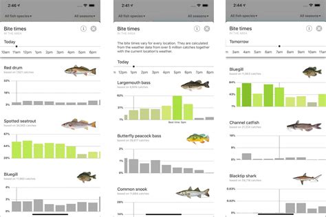 real-time fishing reports