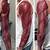 realism tattoo muscle